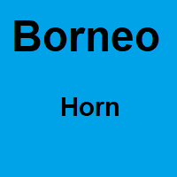 Borneo Horn - 1 Kilo - Starting at € 45,- per kilo